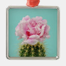 Search for cactus ornaments Garden