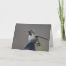 Search for hummingbird cards Black