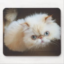 Search for eyes closed mousepads Cat