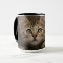 Search for build the wall mugs Usa