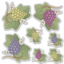 Search for grape vine stickers Fruit