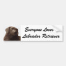 Search for labrador bumper stickers Puppy