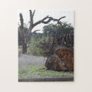 Search for dead tree Nature