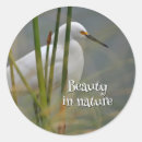 Search for beautiful bird stickers White