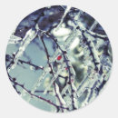 Search for ice cold stickers Frozen