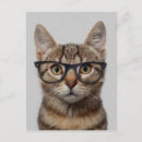 Recherche de le geek cartes postales Chat