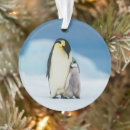 Search for animals of the wild ornaments Emperor penguin