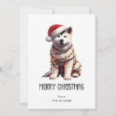 Recherche de akitas vœux cartes Vacances