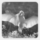 Search for egret stickers White