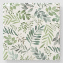 Recherche de tropical coasters Verdure