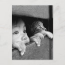 Search for vintage children postcards Cat