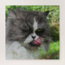 Search for grey cat puzzles Feline