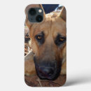 Recherche de bergers allemands iphone coques Berger allemand