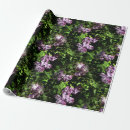 Search for lilac wrapping paper Lavender