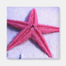 Recherche de animaux de mer magnets Vacances