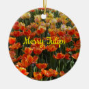Search for tulip ornaments Flower