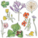 Search for sign of spring stickers Flowers
