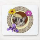 Recherche de le planeur tapis souris Animal familier