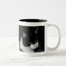 Search for tuxedo mugs Photograph