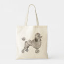 Search for poodles accessories Illustration