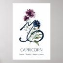 Recherche de capricorn posters Décembre