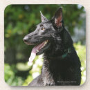 Recherche de alsacien dessous de verres Chien