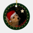 Search for golden retriever ornaments Merry christmas