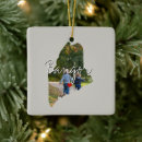 Search for pine tree state Map