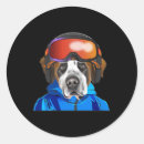 Search for thrills stickers Board and chill