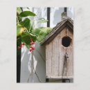 Search for bob postcards Bird