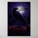 Recherche de nuit de halloween posters Oiseau