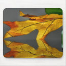 Search for reflected mousepads Water