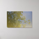 Recherche de feuilles impressions sur toile Nature
