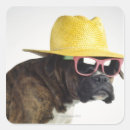 Search for dog with glasses stickers Animal