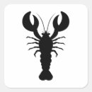 Search for ocean envelope seals Minimalist