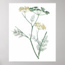 Recherche de plante verte posters Botanique