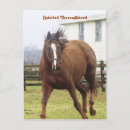 Recherche de galopant cartes postales Sorcier