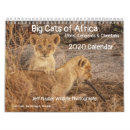 Search for lion calendars Africa