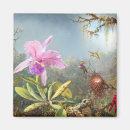 Recherche de oiseau vintage magnets Peinture