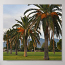 Search for delightful tree top Trees