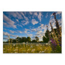 Search for surface level Outdoors