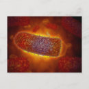 Recherche de virologie cartes postales Microorganisme