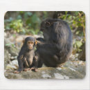Recherche de concentration tapis souris Contemplation