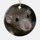Search for ear ornaments Animal