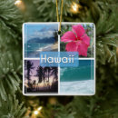 Search for hawaii ornaments Oahu
