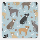 Recherche de terrier pitbull américain autocollants Bulle