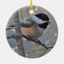 Recherche de bird ornaments Oiseau