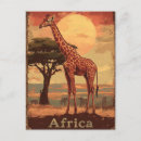 Search for vintage african postcards Giraffe