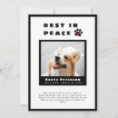Search for announcing death of dog Cat