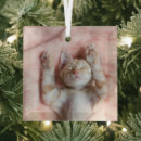 Search for orange kitten ornaments Cat